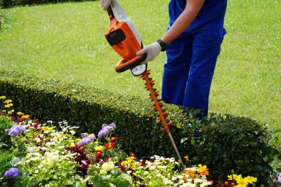 Shrub Trimming
