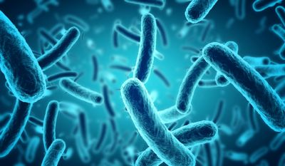 Avoid Dangerous Bacteria