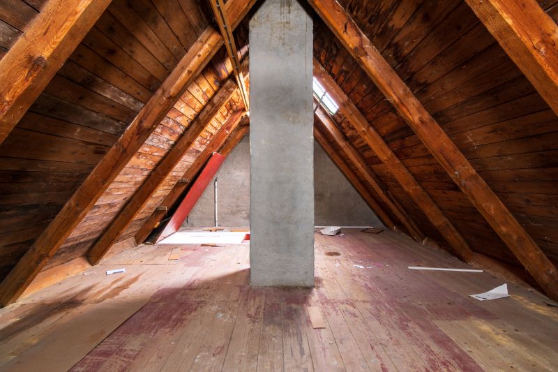 Attic Crawl Space Cleaning - Katy