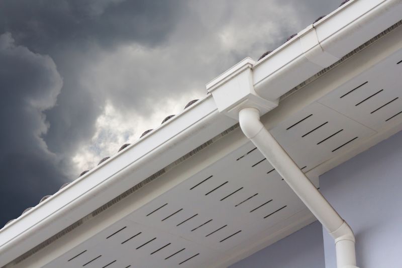 Box Gutter Repair - Tacoma