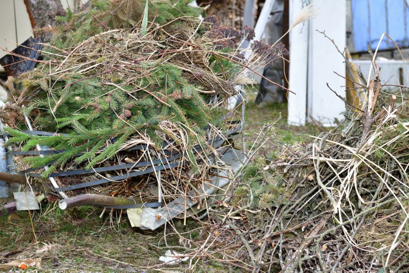 Brush Pick Up Service - Lubbock