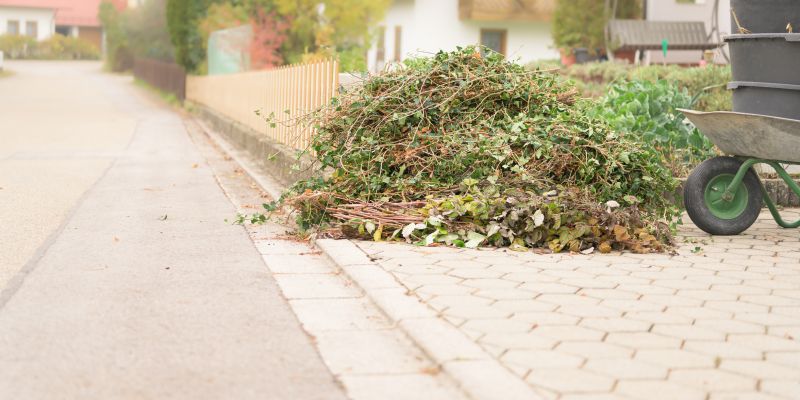 Brush Removal - Nashville