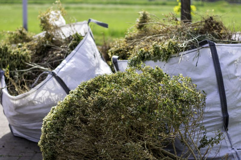 Bush Removal Service - Las Vegas