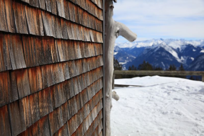 Cedar Siding Repair - Charlottesville
