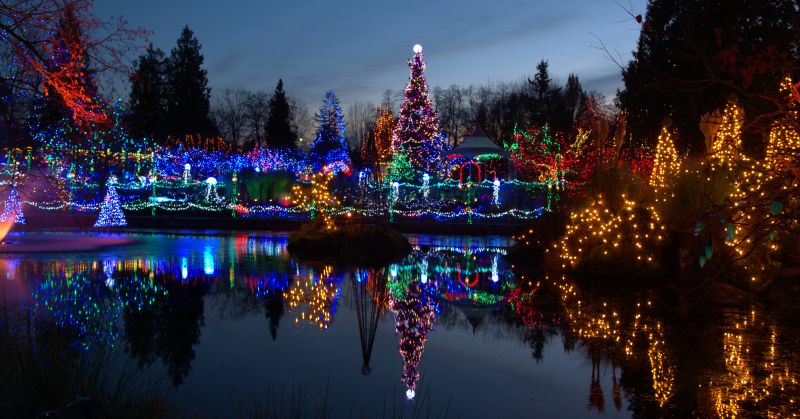 Christmas Lights Hanging - Orlando