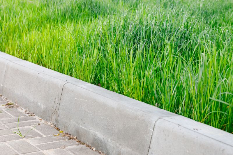 Concrete Curb Installation - Bellingham