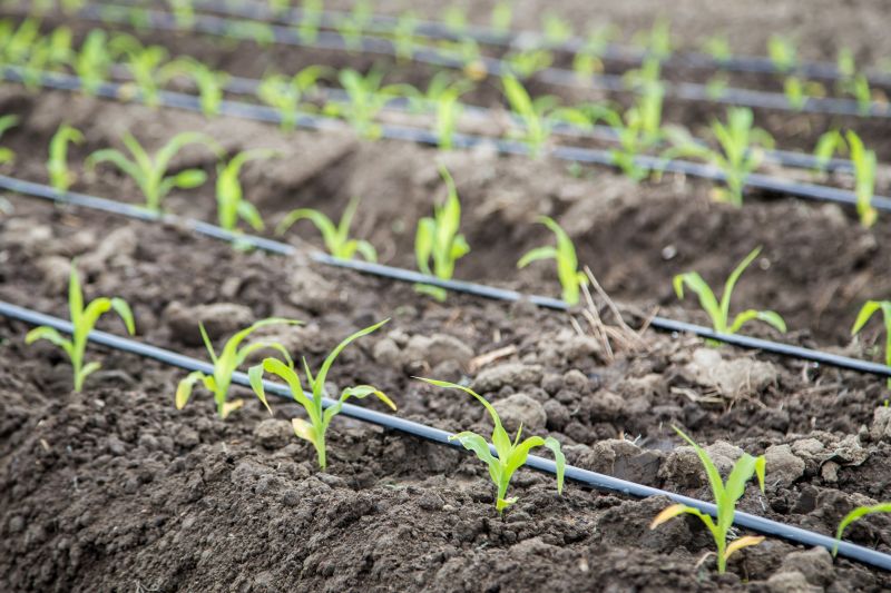 Drip Irrigation Repair - Phoenix