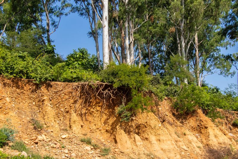 Erosion Service - Sacramento