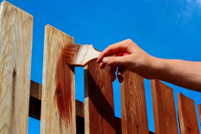 Fence Staining - Tallahassee