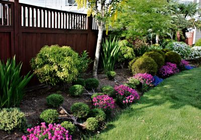 Flower Bed Weeding - Ocala