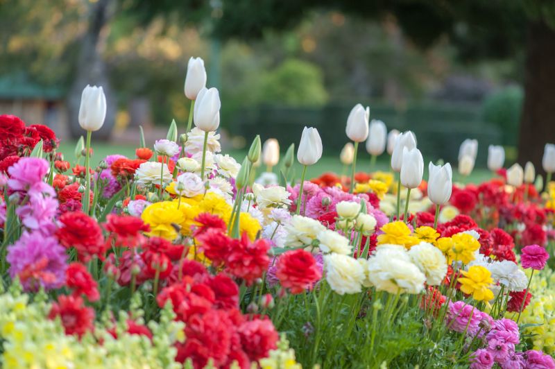 Gardening Service - Oklahoma City