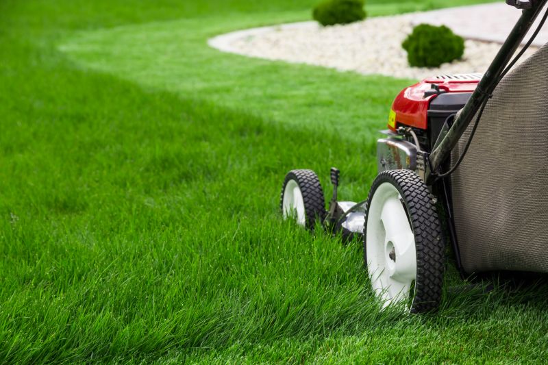 Grass Cutting - San Jose