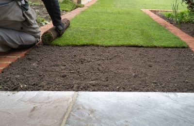Grass Resodding - Virginia Beach