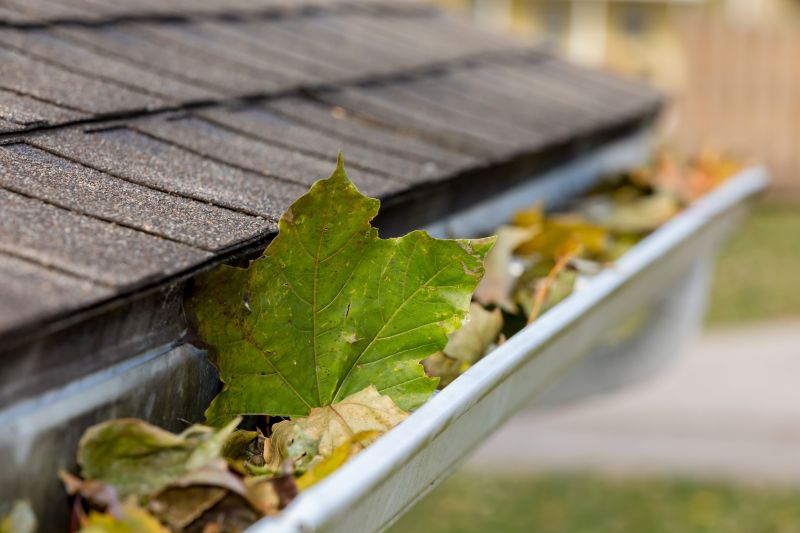 Gutter Cleaning - San Jose