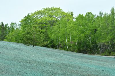 Hydromulch Seeding - Billings