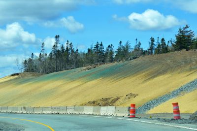 Hydroseeding Service - Orlando