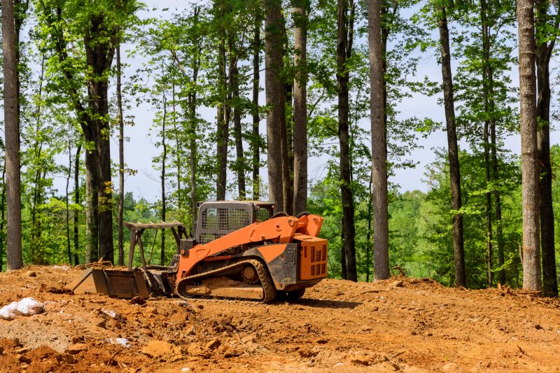 Land Clearing And Grading - Denver