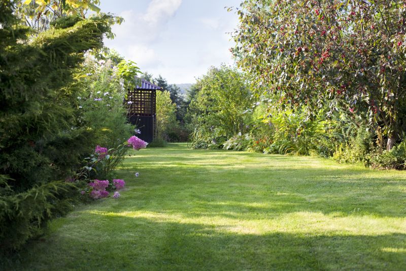 Landscape Repair - Cleveland