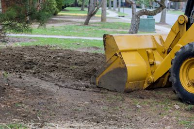 Landscaping And Grading - Orlando