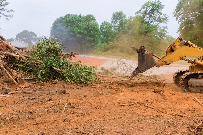 Lot Clearing - Clarksville