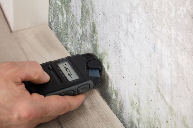 Mold Testing - Raleigh