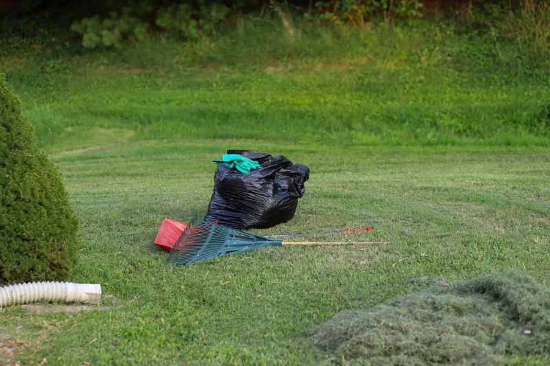 Overgrown Yard Cleanup Service - Tallahassee