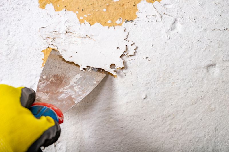 Paint Stripping - Fort Wayne