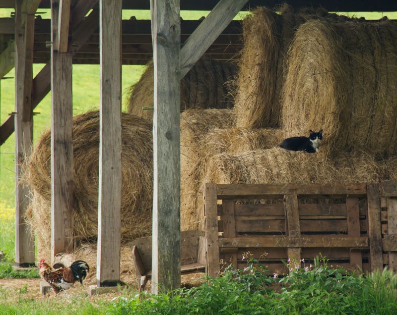 Pole Barn Construction - Birmingham