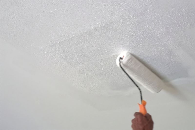 Popcorn Ceiling Painting - Longmont
