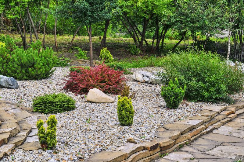 Rock Landscaping - Las Vegas