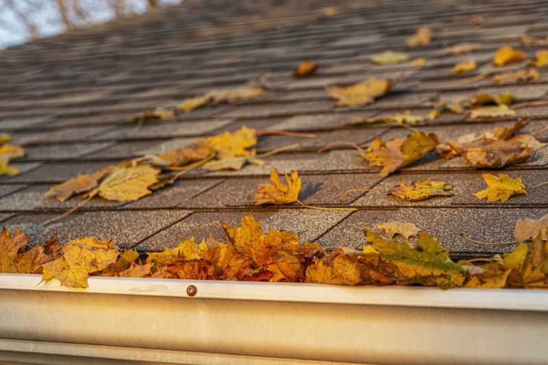 Roof Leaf Removal Service in Nashville