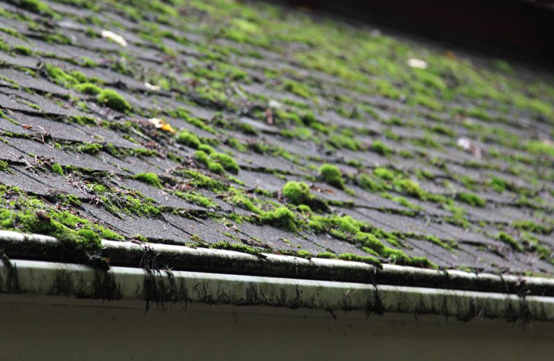 Roof Moss Cleaning - Bozeman