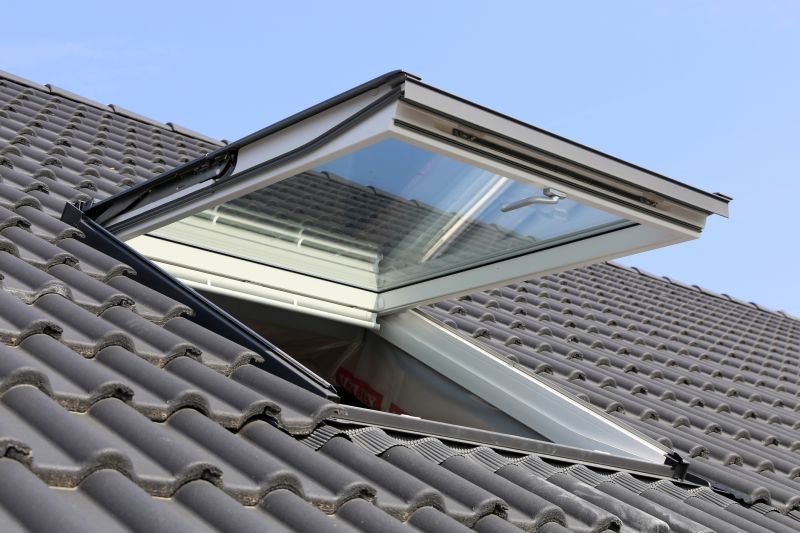 Skylight Tinting - Reno