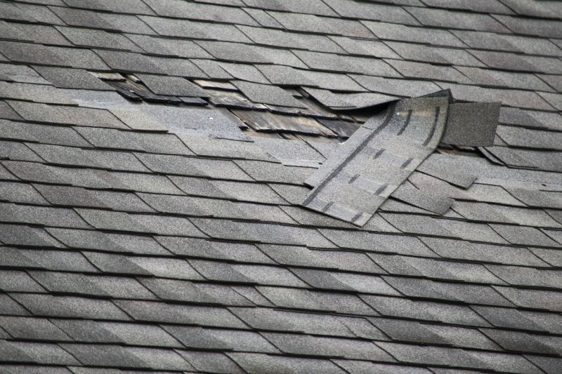 Small Roof Repair - Boston