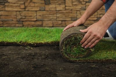 Sod Installation - San Diego