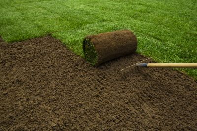 Sod Laying - Baton Rouge