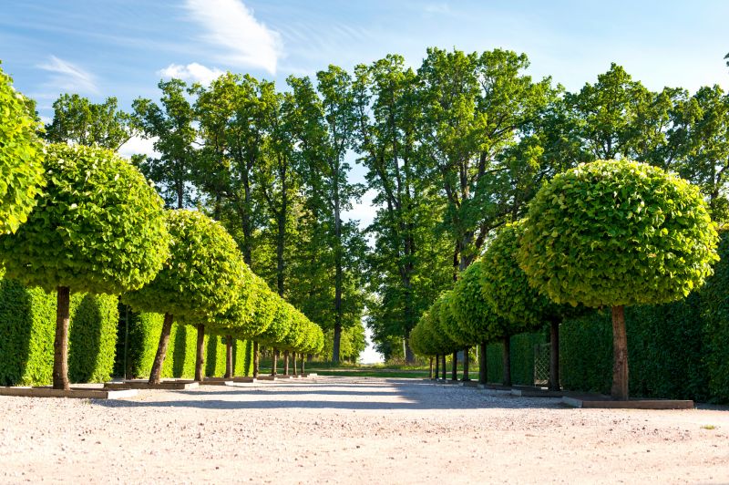 Topiary Pruning Service - Kansas City