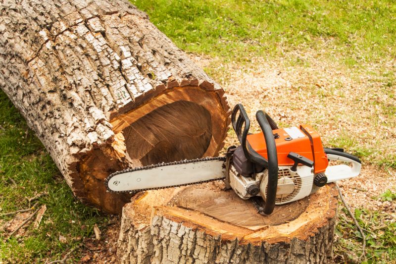Tree Cutting Service - Omaha