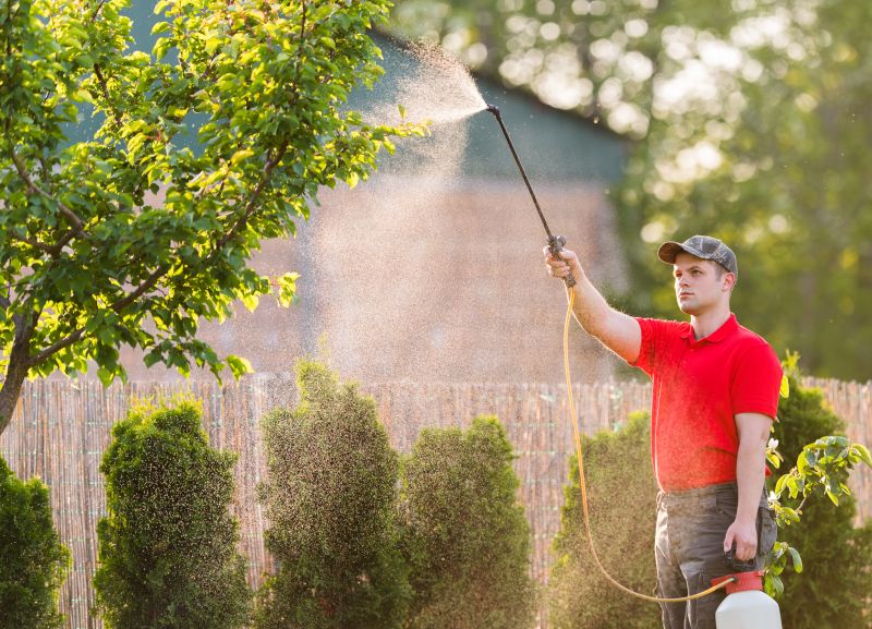 Tree Spraying Service - Colorado Springs