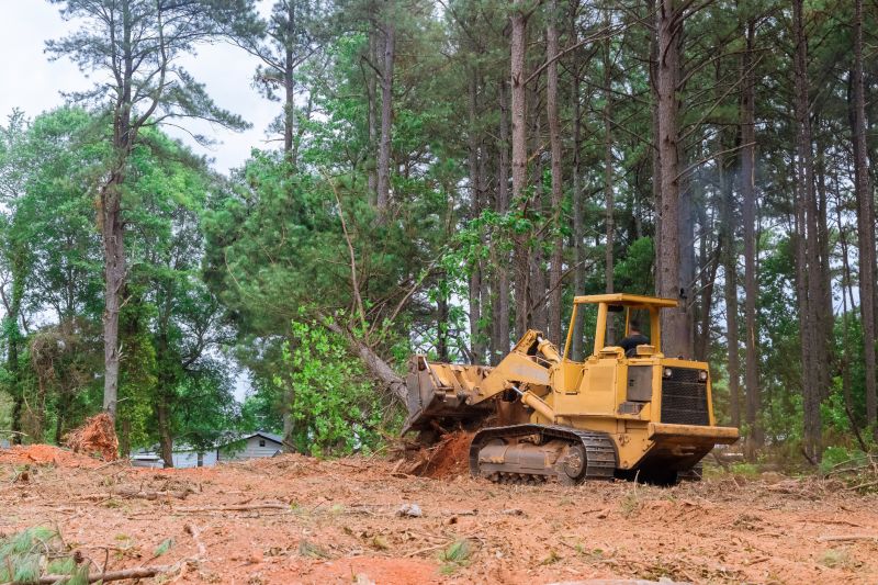 Trees Clearing - San Antonio