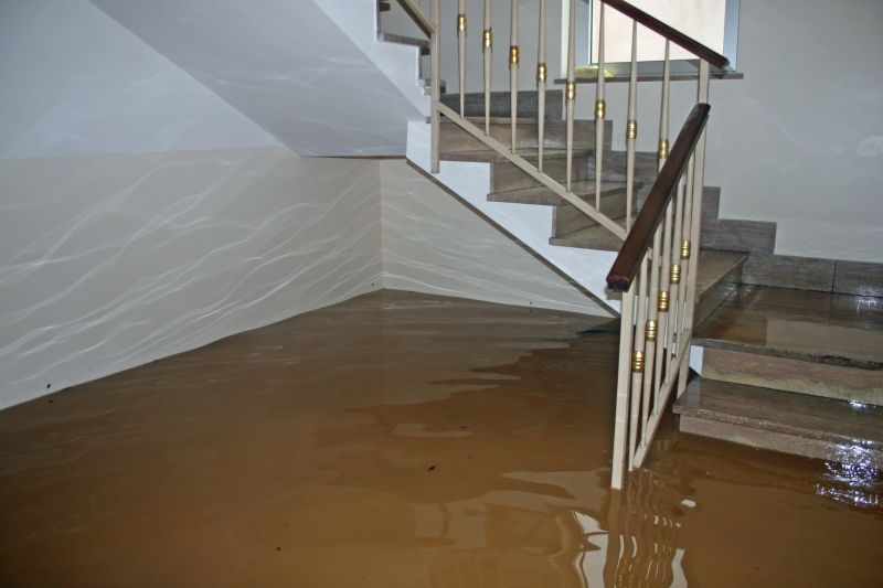 Water Damage Cleanup Service - San Antonio