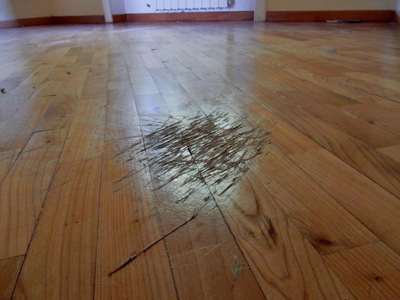 Wood Floor Scratch Repair - Baton Rouge
