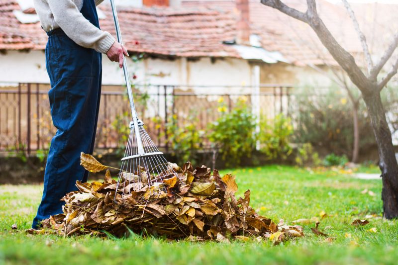 Yard Clean Up Service - Fredericksburg
