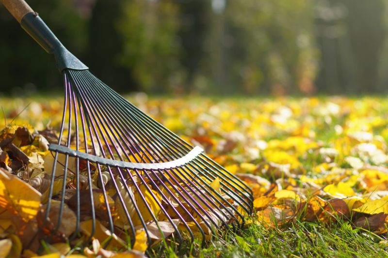 Yard Cleanup And Maintenance - Winston Salem