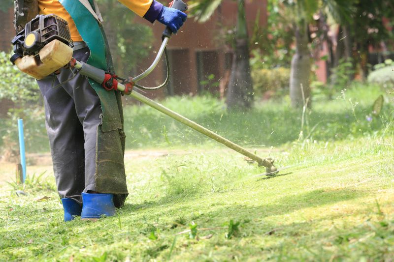 Yard Repair Service - Baton Rouge