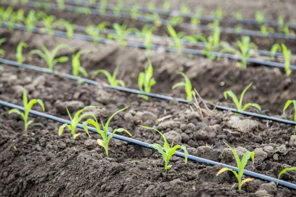 Drip Irrigation Repair for Warehouses
