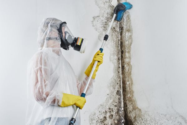 Mold Mitigation for Hospitals