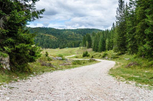 Gravel Road Grading