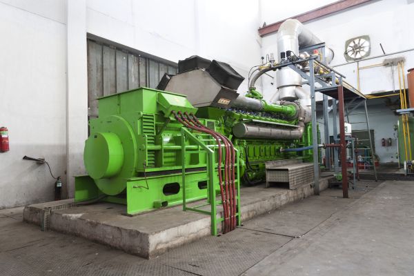 Industrial Generator Servicing