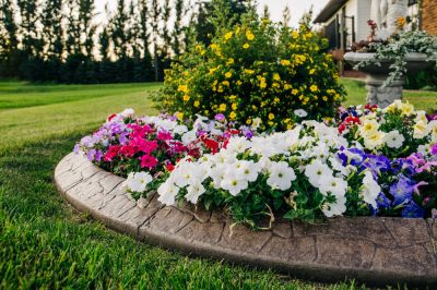 Improve the Appearance of Your Garden!
